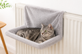 Cat Radiatior bed